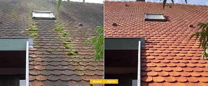 Netoyage de toiture - Photo 5